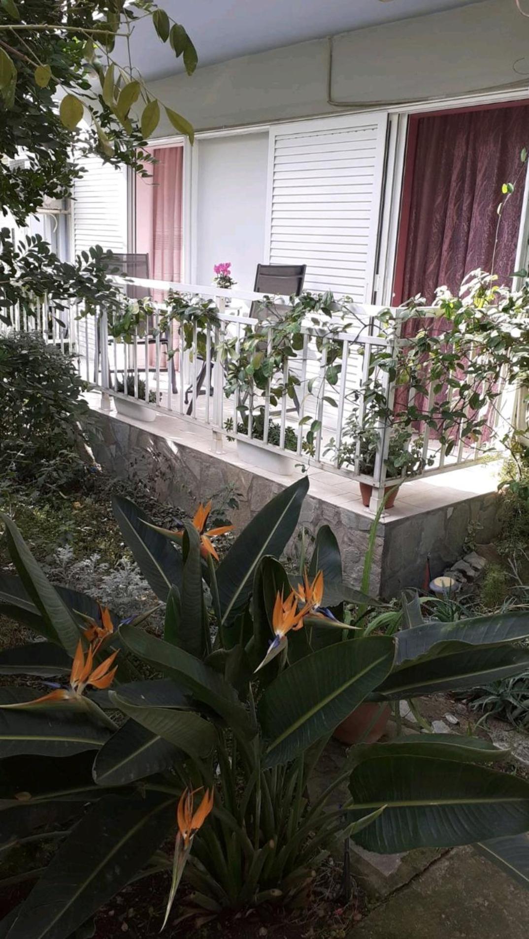 Dreamhouse Apartment นาฟปาคตอส ภายนอก รูปภาพ